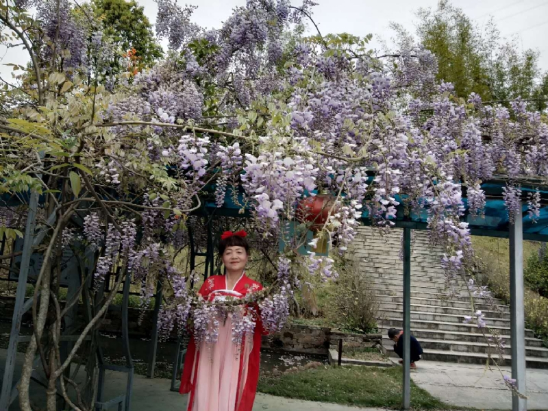 莉莉的第一张照片--石狮征婚网