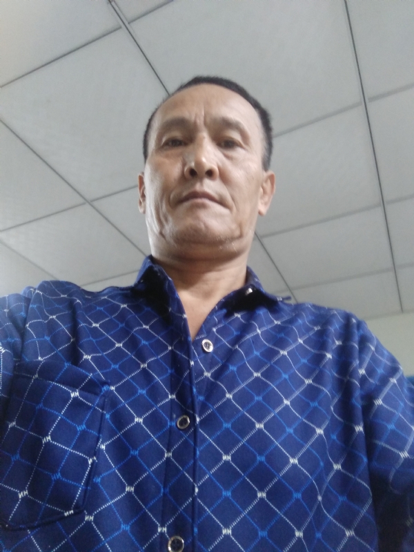 老树的第二张照片--石狮征婚网