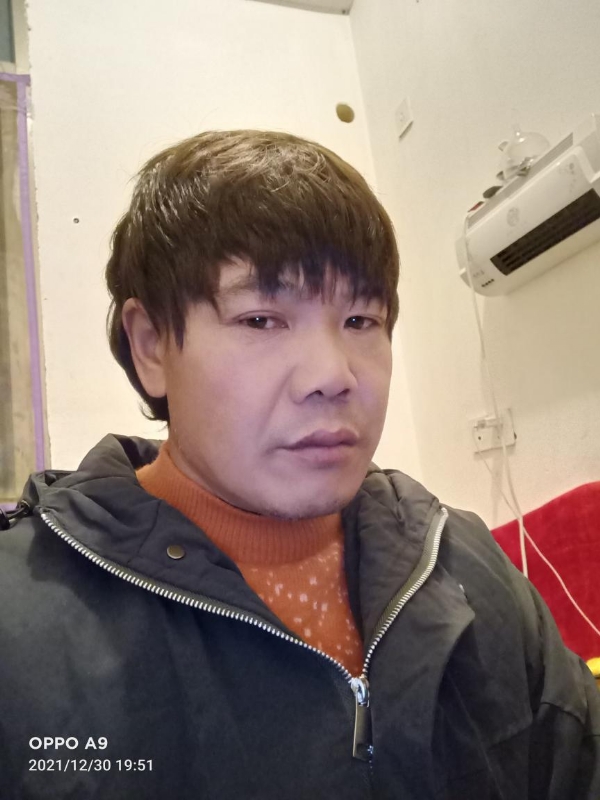 小鸟找窝的第一张照片--石狮征婚网