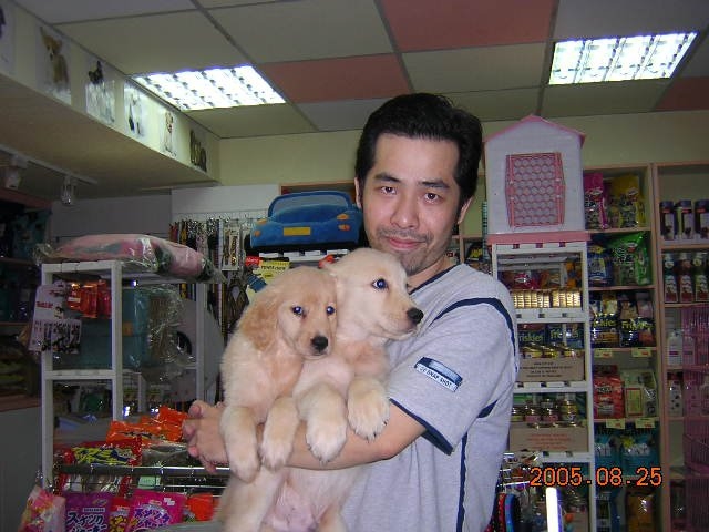 陈道明的第六张照片--石狮征婚网