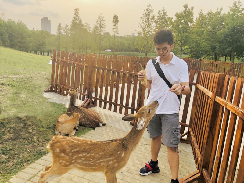 米兰的小铁匠的第一张照片--石狮征婚网